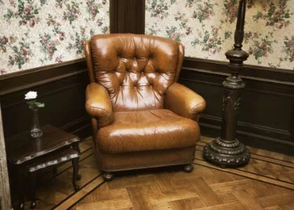 brązowy skórzany fotel